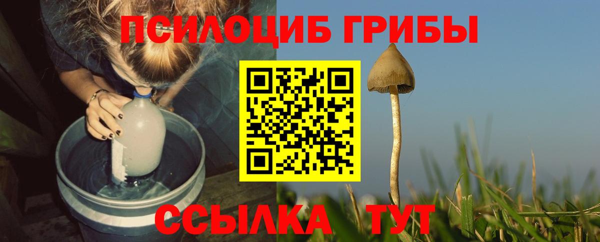 Псилоцибиновые грибы прущие грибы  Вход с VPN  Новотроицк 
